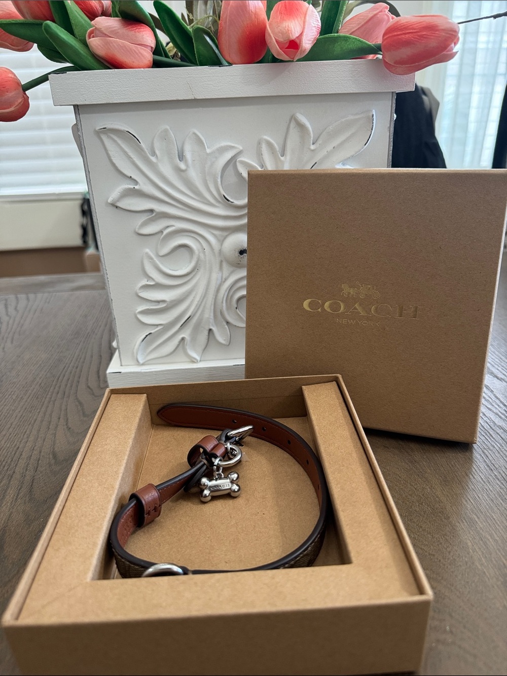 #28 COACH Brown Leather Dog Collar with Silver Bone Charm NEW IN BOX Small